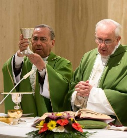 Pope Francis (r) celebrates Mass July 4 at the Vatican's St. Martha House.