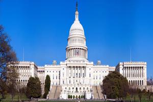 U.S. Capitol 