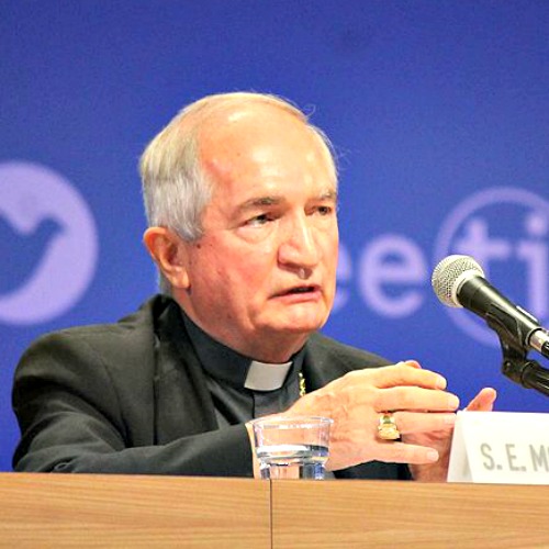 Archbishop Silvano Tomasi, permanent observer of the Holy See to the U.N., speaks at the Rimini meeting Aug. 25.
