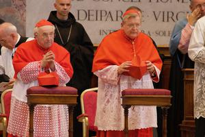 Cardinal Walter Brandmüller and Cardinal Raymond Burke