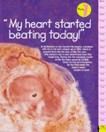 Baltimore pro-life poster, 2001