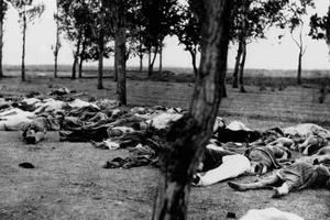 Armenians killed during the Armenian Genocide. 