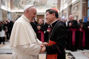 Pope Francis meets with members of Caritas International, including Cardinal Luis Antonio Tagle of Manila, Philippines on November 17, 2016 in Vatican City.