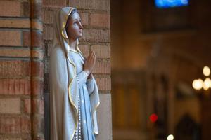 The faithful will gather to exhibit Marian devotion and pray for our nation.