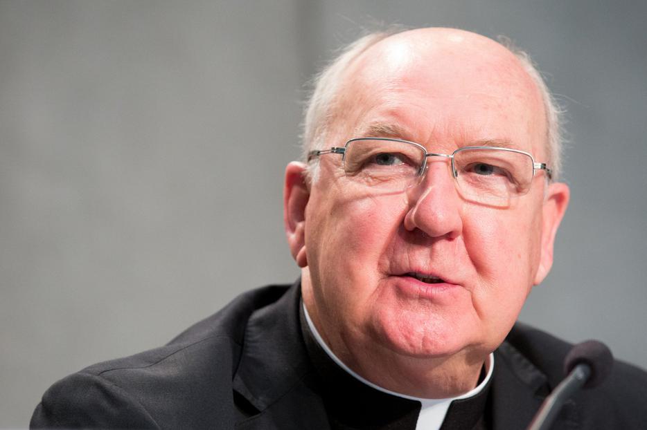 Cardinal Kevin Farrell, Prefect of the Dicastery, at a press conference for a document released by the Dicastery of the Laity, Family and Life, "Giving the Best of Yourself," at the Holy See Press Office on June 1, 2018.