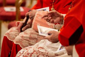 Cardinals at the Ordinary Public Consistory for the Creation of New Cardinals in St. Peter's Basilica on Oct. 5, 2019.