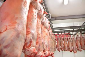 Halal lamb carcasses in a refrigerated warehouse.
