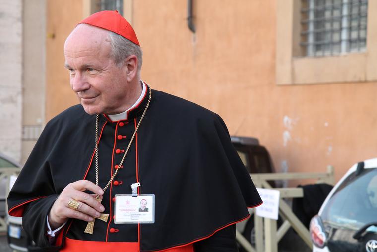 Cardinal Christoph Schonborn departs the Vatican's Synod Hall after a session of the Synod on the Family on Oct. 13, 2014.