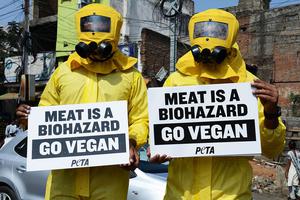 Indian activists from People for the Ethical Treatment of Animals (PETA) dressed in hazmat suits hold placards during a demonstration in Hyderabad on Jan. 5, 2015.