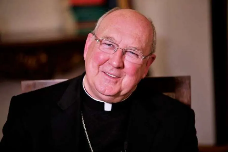 Cardinal Kevin Farrell, prefect of the Vatican Dicastery for the Laity, Family and Life.