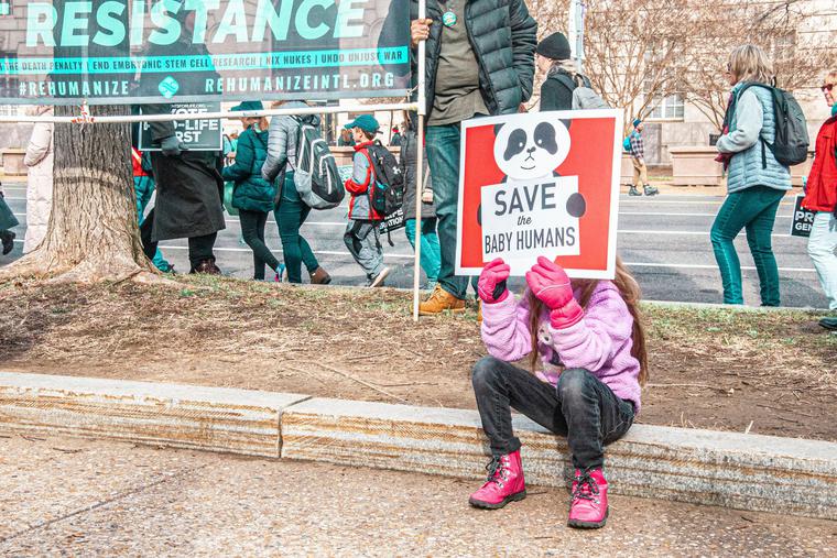 ‘Save the Baby Humans.’ Pope Francis has explained that loving life and the environment should go hand in hand.