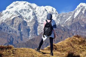 The Himalayas