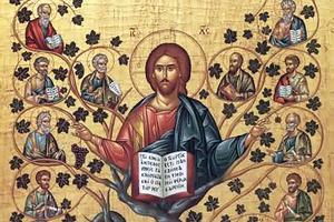 “Christ the True Vine”