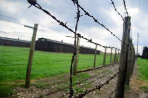 Concentration Camp