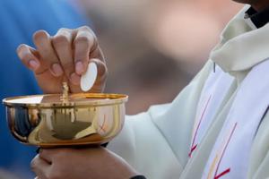 Bishops supporting the vote to draft a document on the Eucharist cited the need for providing clarity and catechesis on the matter, citing polls showing a lack of belief in the Real Presence among Catholics. They argued that all Catholics, including Catholic politicians, must be aware of the Church’s teaching on worthiness to receive Communion.