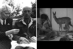 A new documentary tells the story of Jan and Antonina Żabiński, who saved Jewish lives during World War II by hiding people among the animals at the Warsaw Zoo.