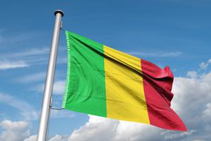 Flag of Mali waves in the wind.