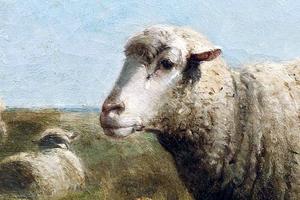 Cornelius Van Leemputten (1841-1902), “Sheep”