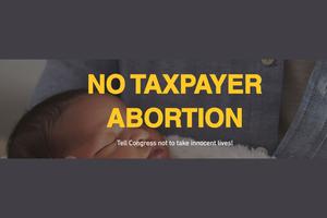 A screenshot of the USCCB petition site informs website visitors of the petition below.