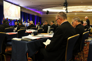 Bishops take part in the final public session of the U.S. Conference of Catholic Bishops' General Assembly on Thursday, June 13, 2019.