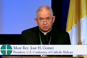 Archbishop José H. Gomez of Los Angeles addresses his fellow bishops Nov. 16 at their fall assembly.