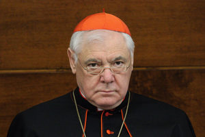 Cardinal Gerhard Müller.