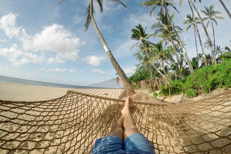 Beach and Hammock Photo