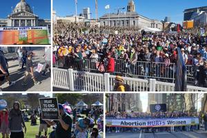 Clockwise from top left: A banner is seen at Walk for Life West Coast, the pro-life crowd is strong at Walk for Life West Coast, Thomas Aquinas College students are part of the Walk for Life West Coast contingent, a prayerful sign is seen at OneLife LA, and participants walk as part of OneLife LA. Clockwise from top left: A banner is seen at Walk for Life West Coast, the pro-life crowd is strong at Walk for Life West Coast, Thomas Aquinas College students are part of the Walk for Life West Coast contingent, a prayerful sign is seen at OneLife LA, and participants walk as part of OneLife LA.