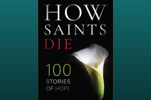 Close-up of the book cover.