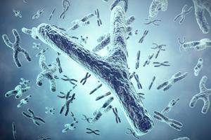 3D concept art of human chromosomes