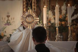 Argentine priest Father Carlos Spahn, founder and superior of the Religious Family of the Immaculate Heart and Divine Mercy, who is currently ministering in Mexico, led the eucharistic adoration service.