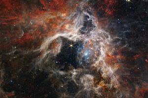 The Tarantula Nebula, as captured in September 2022 by the James Webb Space Telescope’s Near-Infrared Camera Instrument (NIRCam).
The Tarantula Nebula, as captured in September 2022 by the James Webb Space Telescope’s Near-Infrared Camera Instrument (NIRCam).