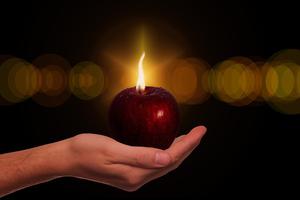 Apple Temptation Photo Apple Temptation Photo