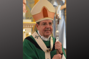 Archbishop Allen Vigneron of Detroit, Mich. Archbishop Allen Vigneron of Detroit, Mich.
