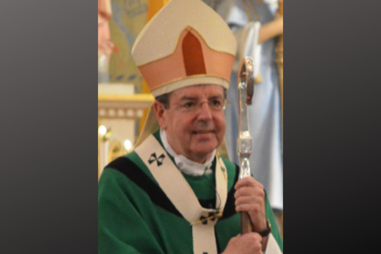 Archbishop Allen Vigneron of Detroit, Mich. Archbishop Allen Vigneron of Detroit, Mich.