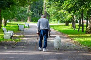 An elderly man with his best friend. An elderly man with his best friend.
