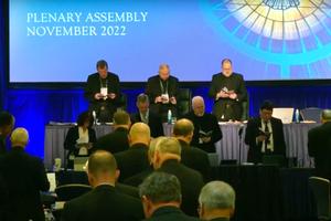 The U.S. bishops gather Nov. 15 in Baltimore.