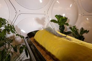 A shrouded mannequin covered with flowers rests near a composting vessel at Recompose, a green funeral home specializing in human composting on October 06, 2022 in Seattle, Washington. 