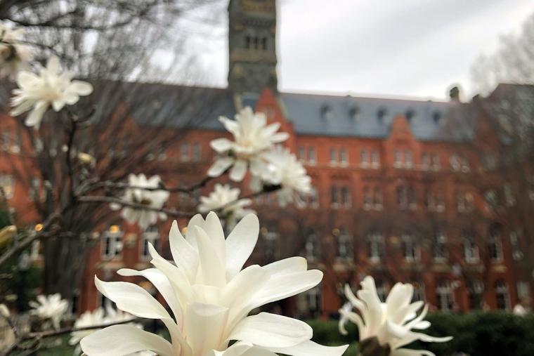 Flowers bloom in front of Georgetown University’s Healy Hall, the site of the 24th Cardinal O’Connor Conference on Life on Saturday.