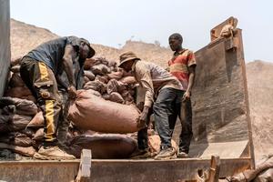 Artisanal miners loading sacks of ore into a truck at the Shabara artisanal mine near Kolwezi on October 12, 2022. Artisanal miners loading sacks of ore into a truck at the Shabara artisanal mine near Kolwezi on October 12, 2022.