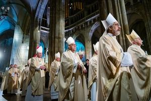 Four cardinals, 45 bishops, and 80 priests concelebrated Mass Feb. 8, 2023, under the high vaulted ceiling of Prague’s St. Vitus Cathedral with about 500 people in attendance. The Mass marked the midway point of the European Continental Assembly meeting in Prague Feb. 5-12, 2023.