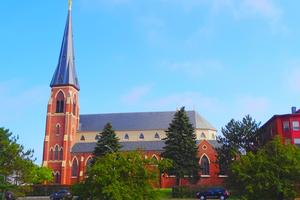 The Cathedral of the Immaculate Conception