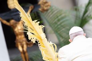 Pope Francis presided over Palm Sunday Mass in St. Peter's Square on April 2, 2023.