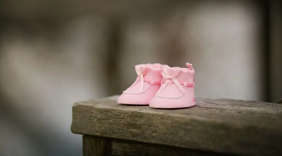 Florida Senate Passes 6-Week Abortion Ban, But Court Will Have Final Say - Vimarsana News