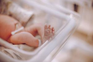 Every month that followed the Supreme Court decision had fewer abortions than April 2022.