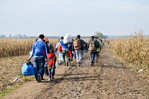 War refugees walk along the border between Serbia and Croatia in November 2015.