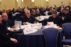 The U.S. bishops met in Baltimore for their annual fall general assembly on Nov. 14-17, 2022.