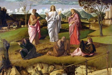The Transfiguration&rsquo;s Glorious Vision: Direction as Well as Light