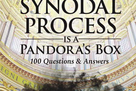 New Book Warns of ‘Revolutionary’ Threat Posed by Synod on Synodality New Book Warns of ‘Revolutionary’ Threat Posed by Synod on Synodality