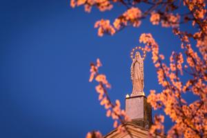 ‘Throughout this month and beyond, we can pray through Mary’s intercession that the journeying together of the Church today will mean faithfully following the footsteps of her Son, the Way, the Truth and the Life,’ writes Father Roger Landry.
